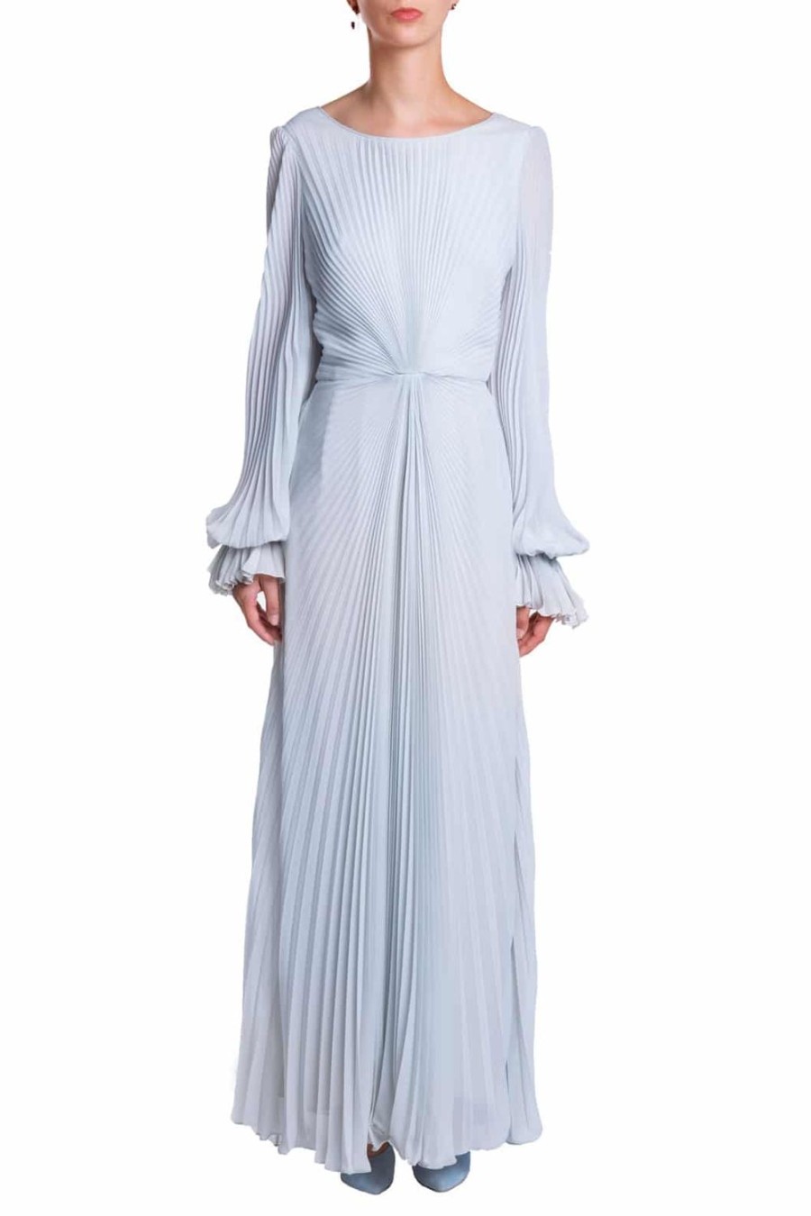 Dresses | Luisa Beccaria Pleated Georgette Gown